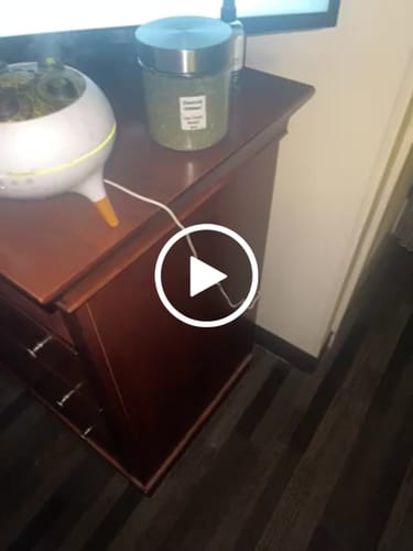 Customer video review of 💎Cali Kush - Diamond Infused Shake