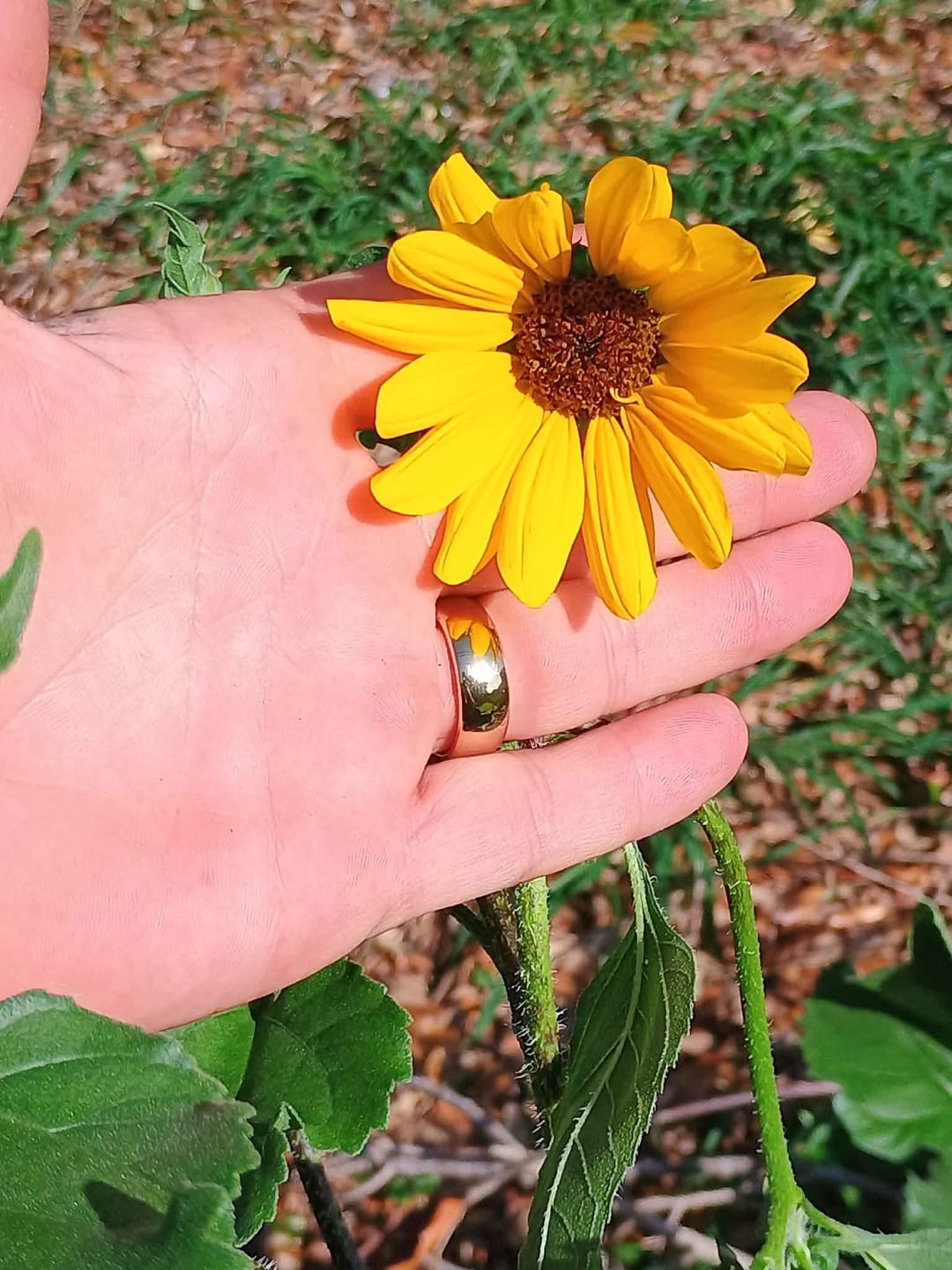 Customer photo review of High Polished Yellow Gold - 8mm