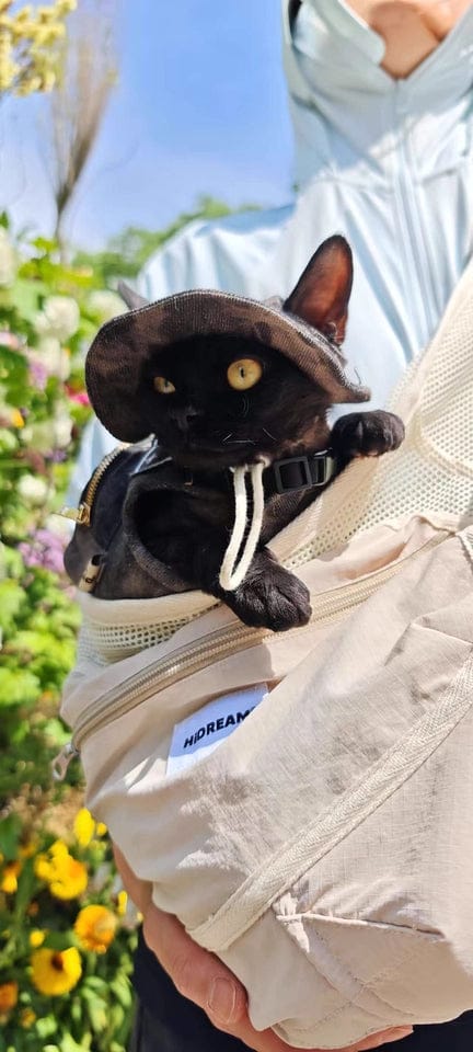 Customer photo review of Breathable Summer Pet Sling Carrier Bag With Pocket