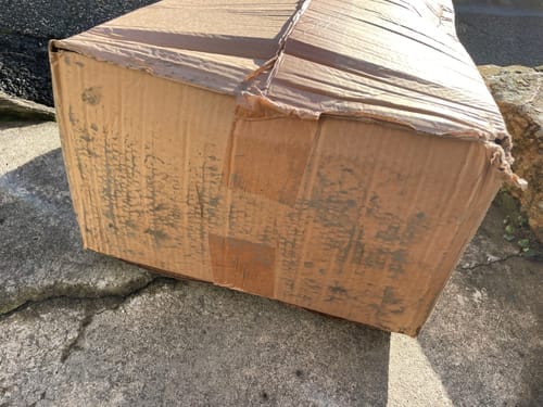 Customer photo review of Timothy Hay Box 'Blend'
