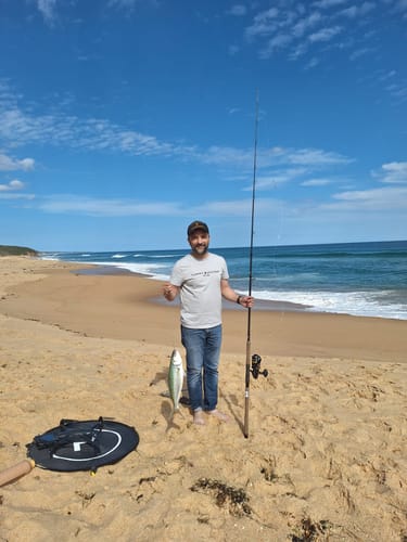 Customer photo review of Aeroo Pro