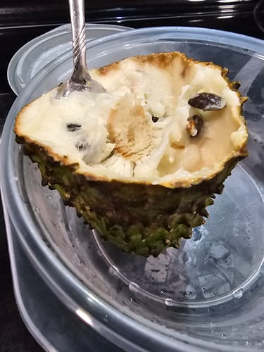 Customer photo review of Soursop