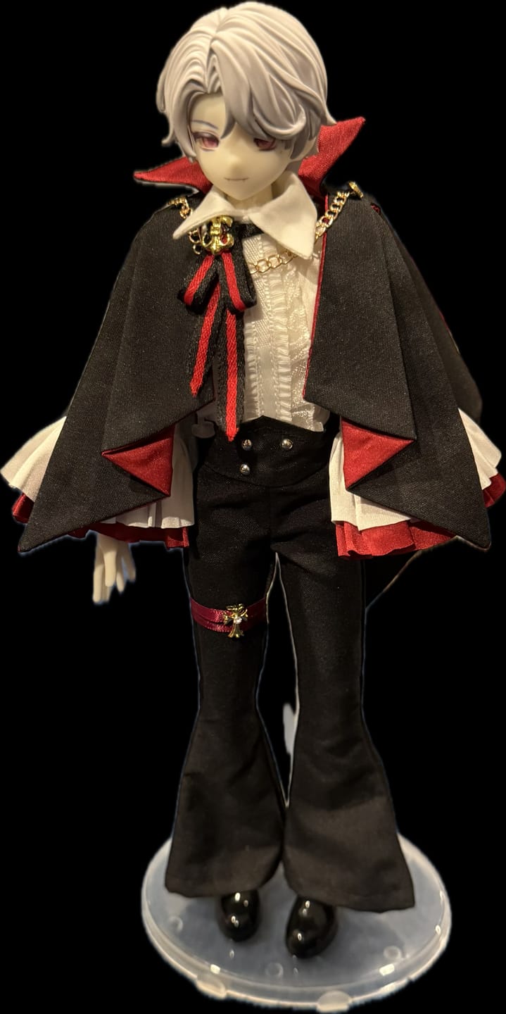 Customer photo review of Eternal Night Scar Series Special 1/6 Action Figure BJD Blind Box