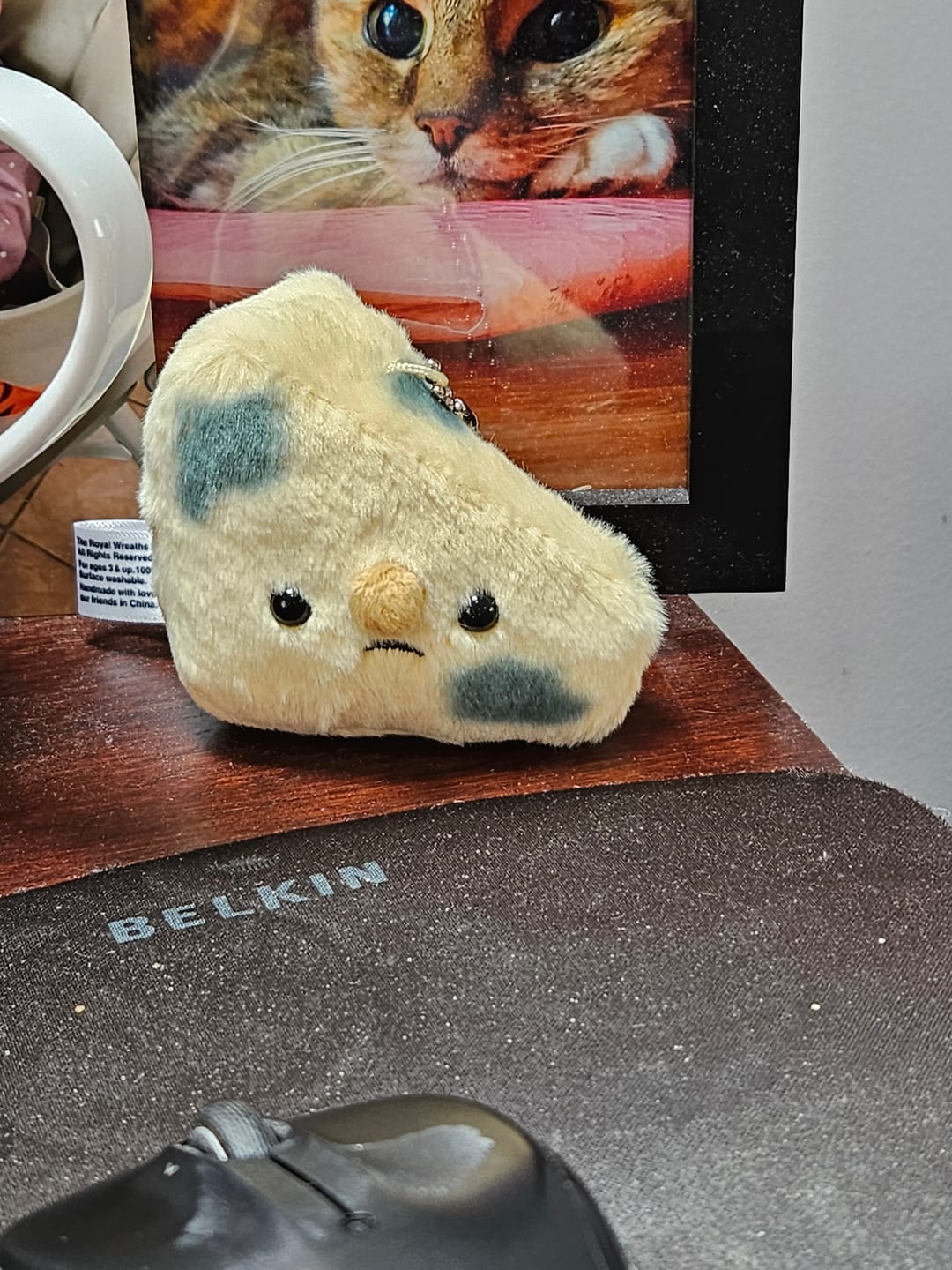 Customer photo review of Forgotten Moldy Parmesan Cheese