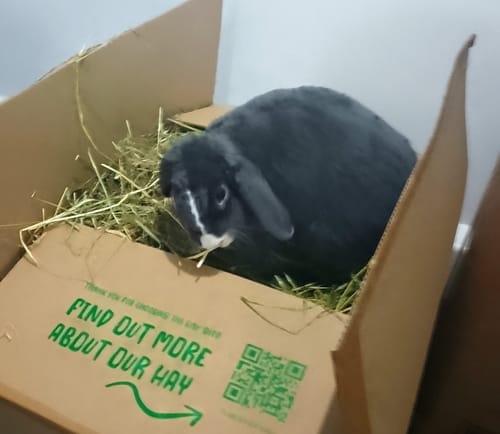 Customer photo review of Meadow Hay Box
