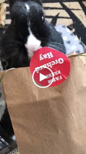 Customer photo review of Orchard Hay Box