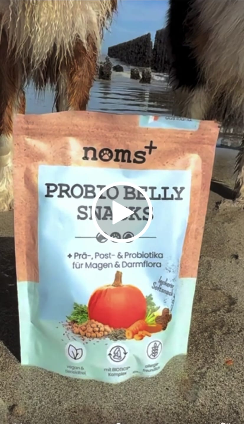 Customer video review of Bauchwohl-Komplex für Hunde bei Magen-Darm-Beschwerden: hochdosiert & hypoallergen