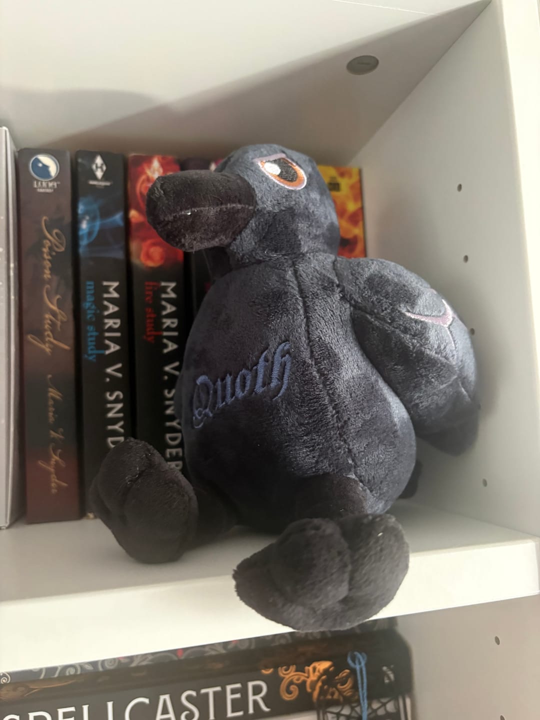 Customer photo review of Quoth the Raven Plushie