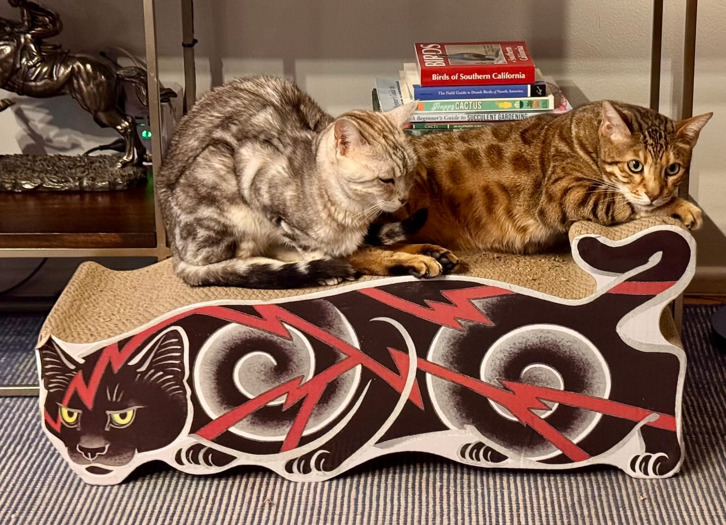 Customer photo review of Electric Cat Scratcher