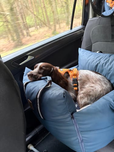Customer photo review of The Dog Dock V2 New & Improved with ISO Fix