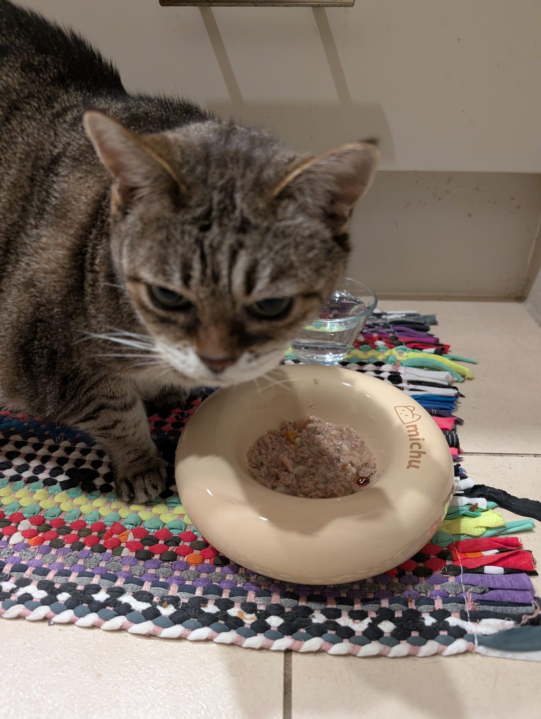 Customer photo review of Michu Bagel Ceramic Cat Bowl – Anti-Whisker Wide Shallow Cat Food Bowl | 6 Colours