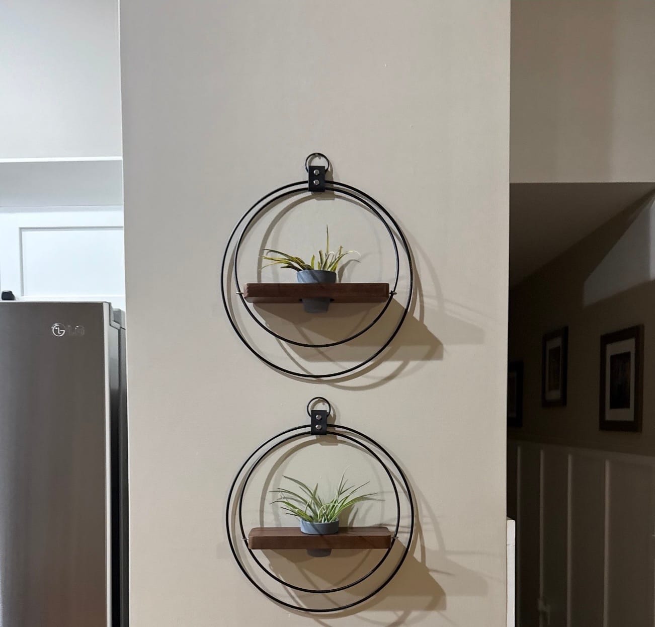 Customer photo review of Air Plant Shelf + Pot Duo