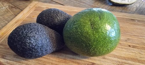 Rezensent zeigt eine große grüne Reed-Avocado und zwei dunkle Hass-Avocados auf einem Holzbrett.