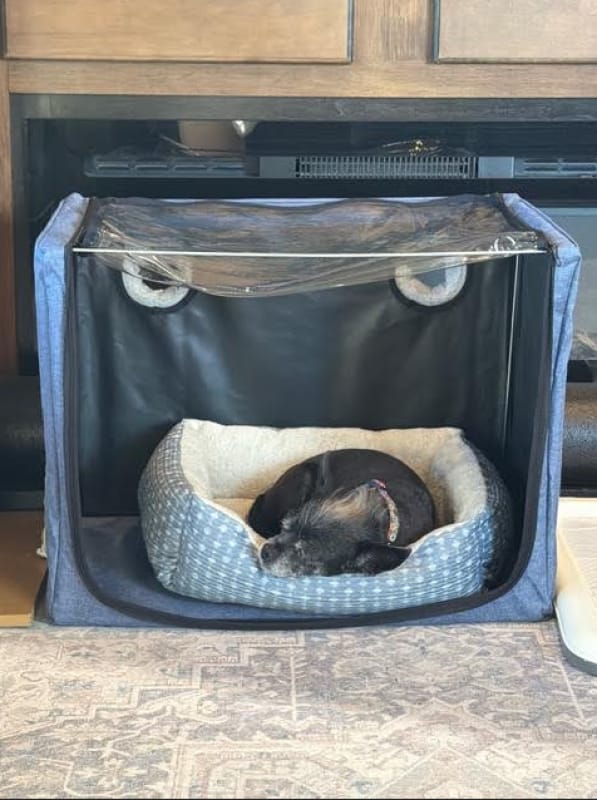 Customer photo review of VARON Pet Oxygen Therapy Bundle (Small to Medium Pets) – Serene 3 + 100L Comfort Chamber