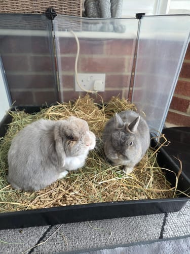 Customer photo review of Meadow Hay Box