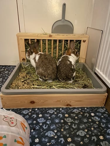 Customer photo review of Meadow Hay Box