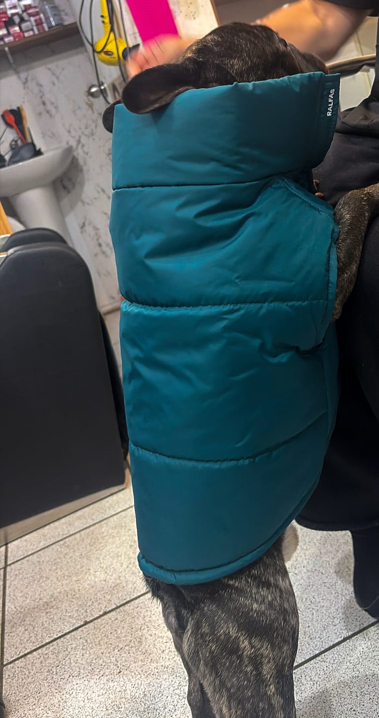 Customer photo review of Chaqueta Puffer de Invierno – Verde