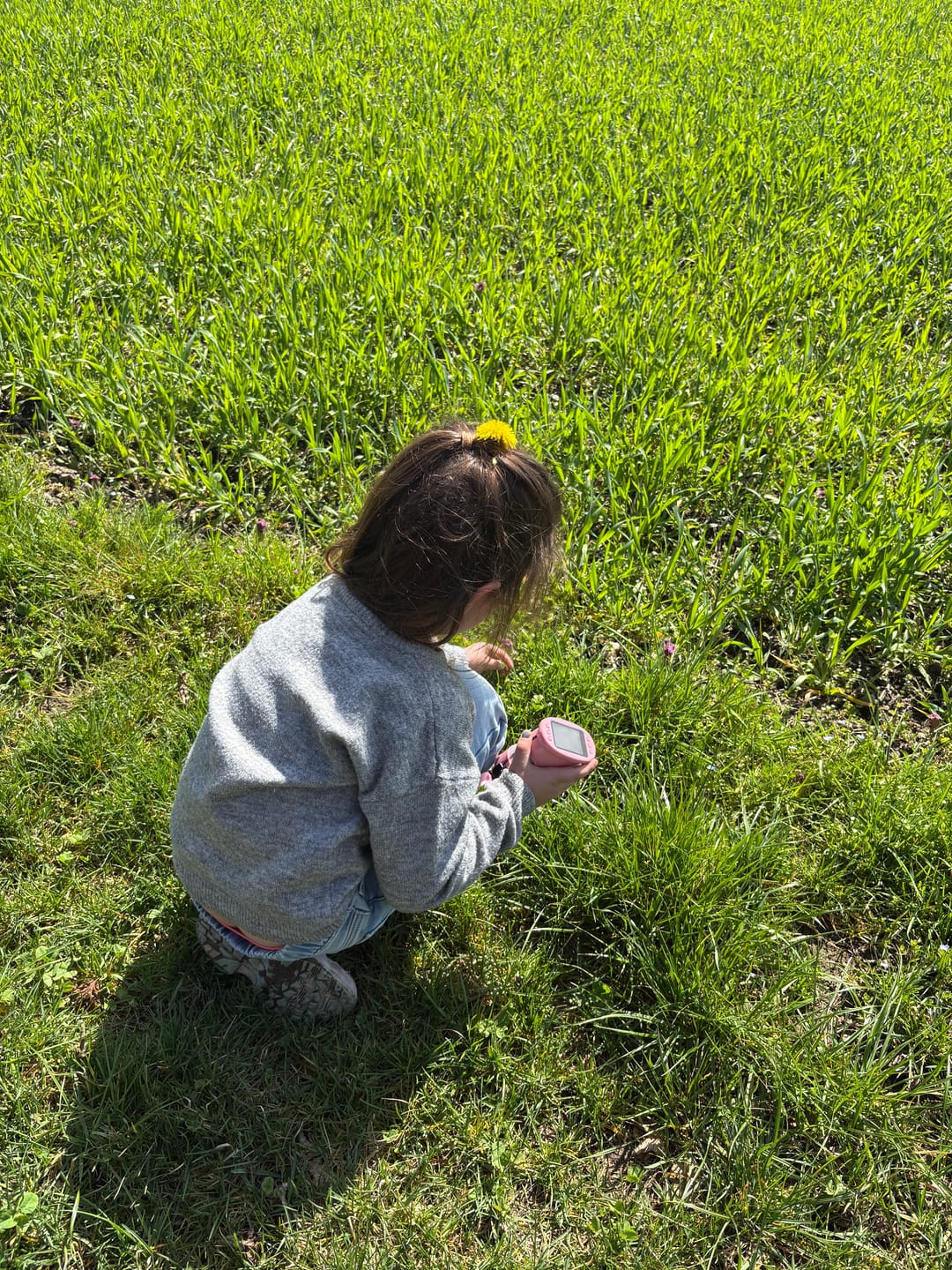 Customer photo review of Edubini Gefunden!® Outdoor Suchspiel