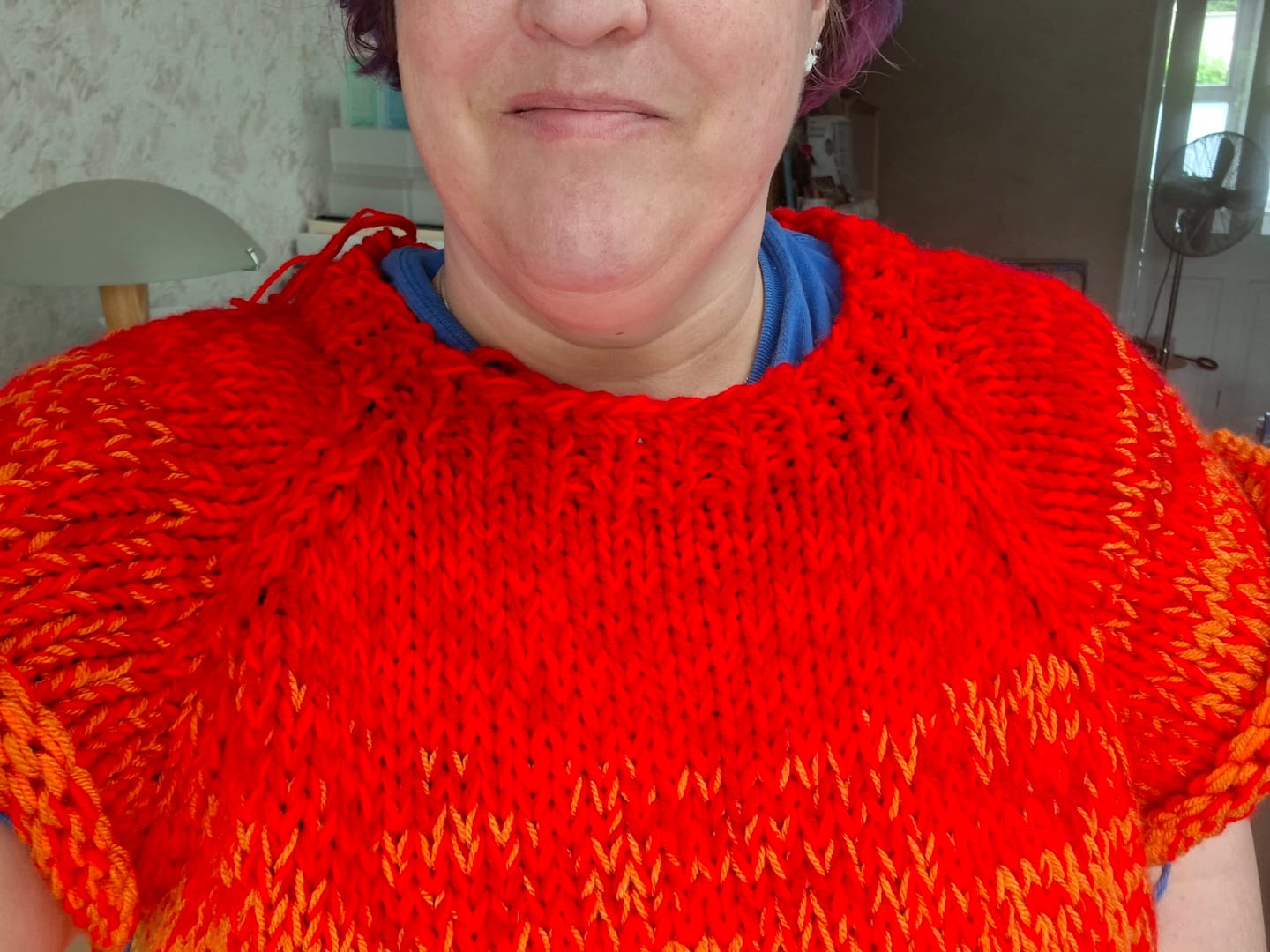 Customer photo review of Stylecraft Special DK Knitting Yarn – 100g Premium Acrylic DK Yarn