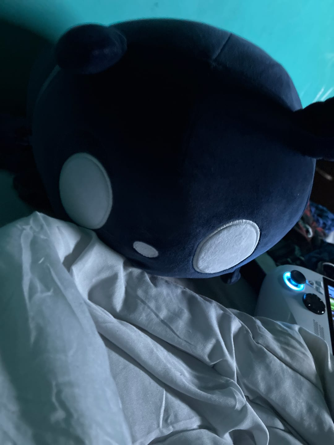 Customer photo review of Rain World - Watcher Slugcat Pillow Plush