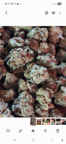 Durban Poison - Bulk - Sativa photo review