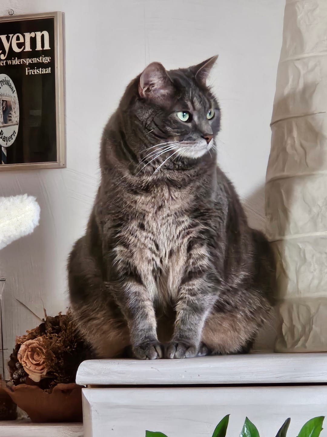 Customer photo review of Katzenklo Schaufel