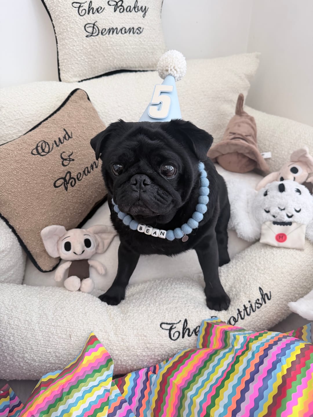 Customer photo review of Alphabet Pom Pom Collar