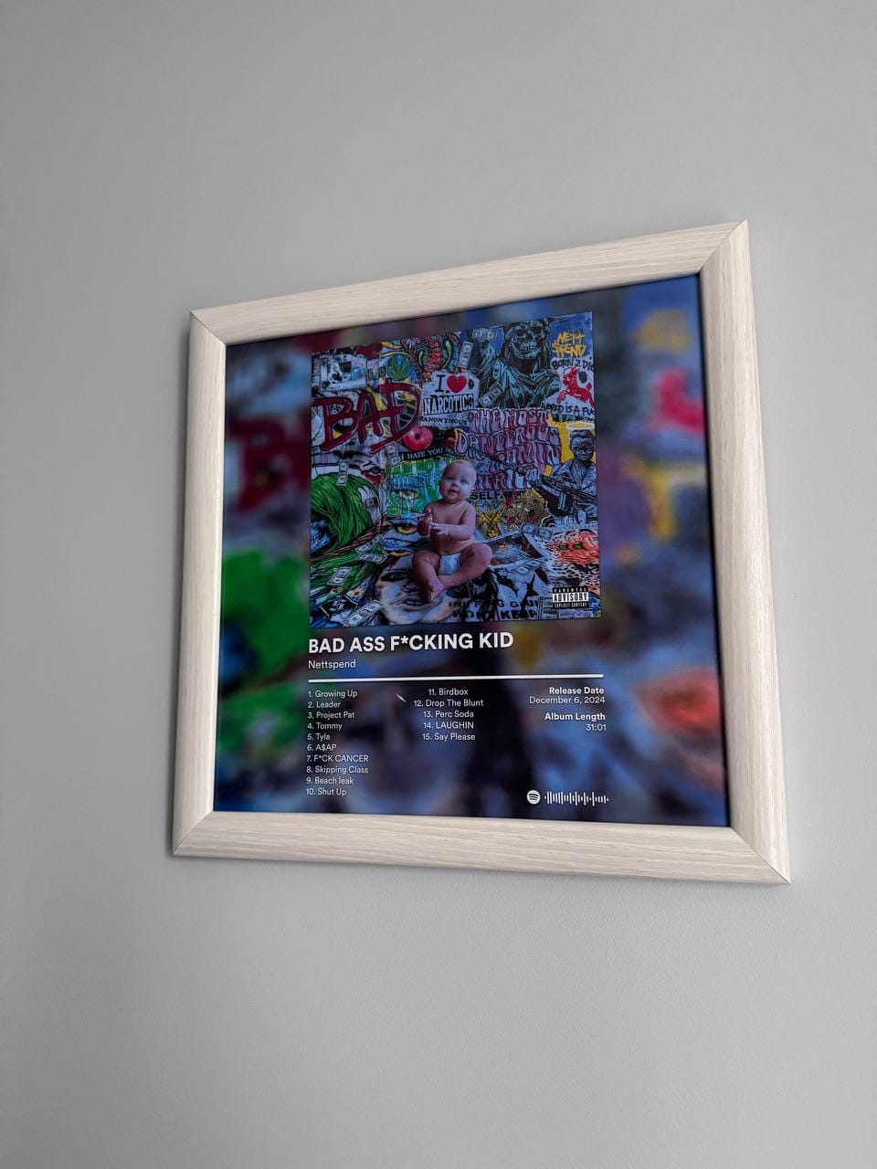 Customer photo review of Nettspend Album Posters