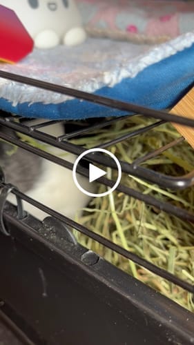 Customer photo review of Meadow Hay Box