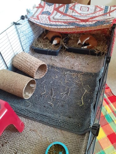 Customer photo review of Meadow Hay Box
