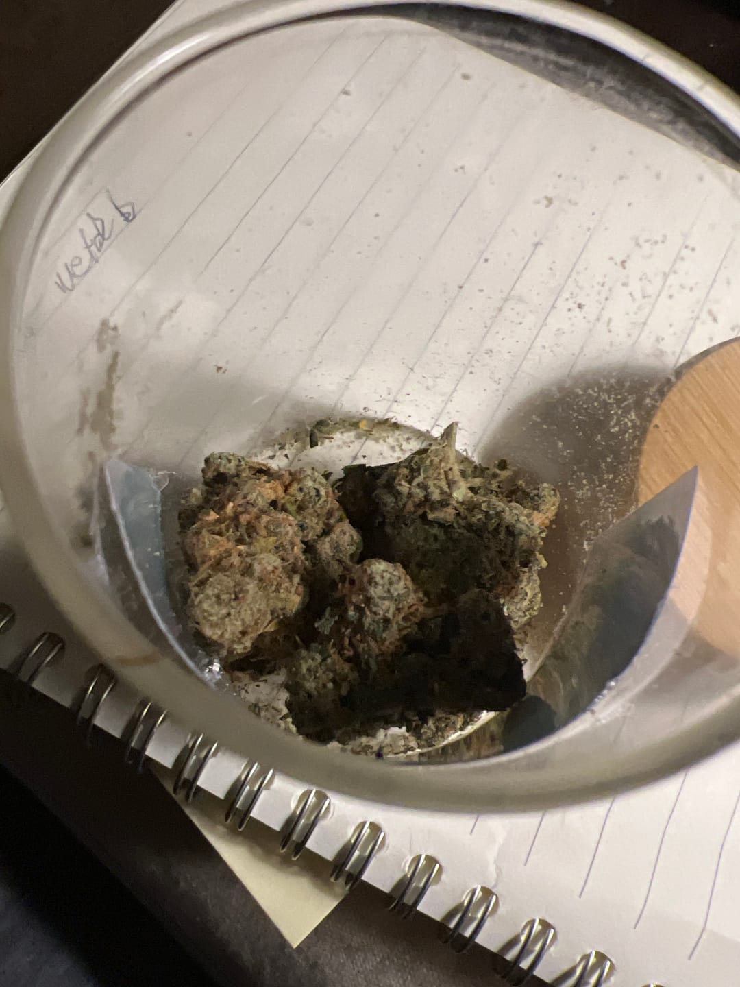 Customer photo review of Jack Herer Indoor - 14 Grams - Sativa