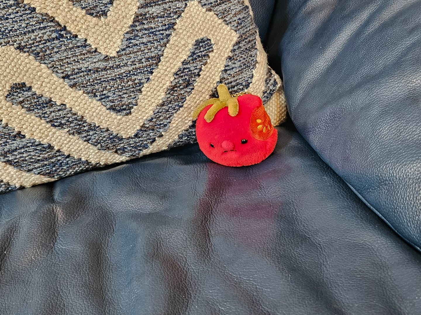 Customer photo review of Forgotten Bitten Tomato (Pre-oder for end of Jan)