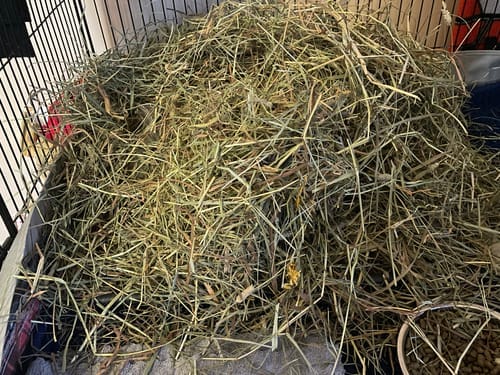 Customer photo review of Meadow Hay Box