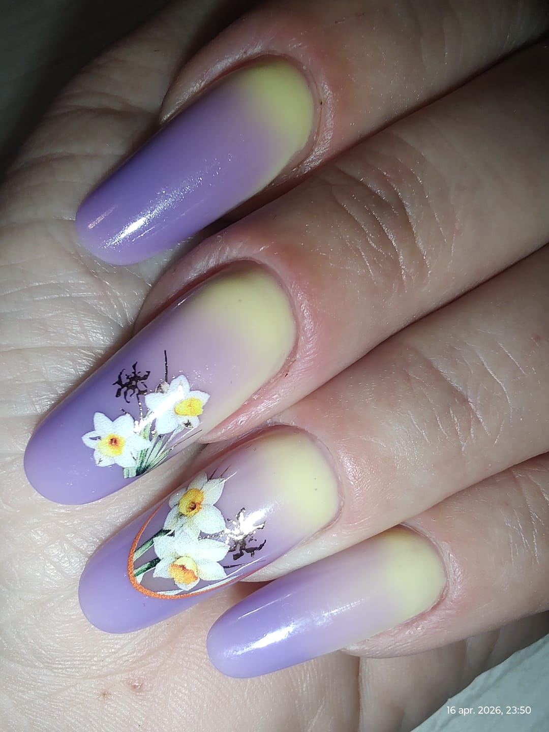 Customer photo review of MACARONS SET Rubber Base