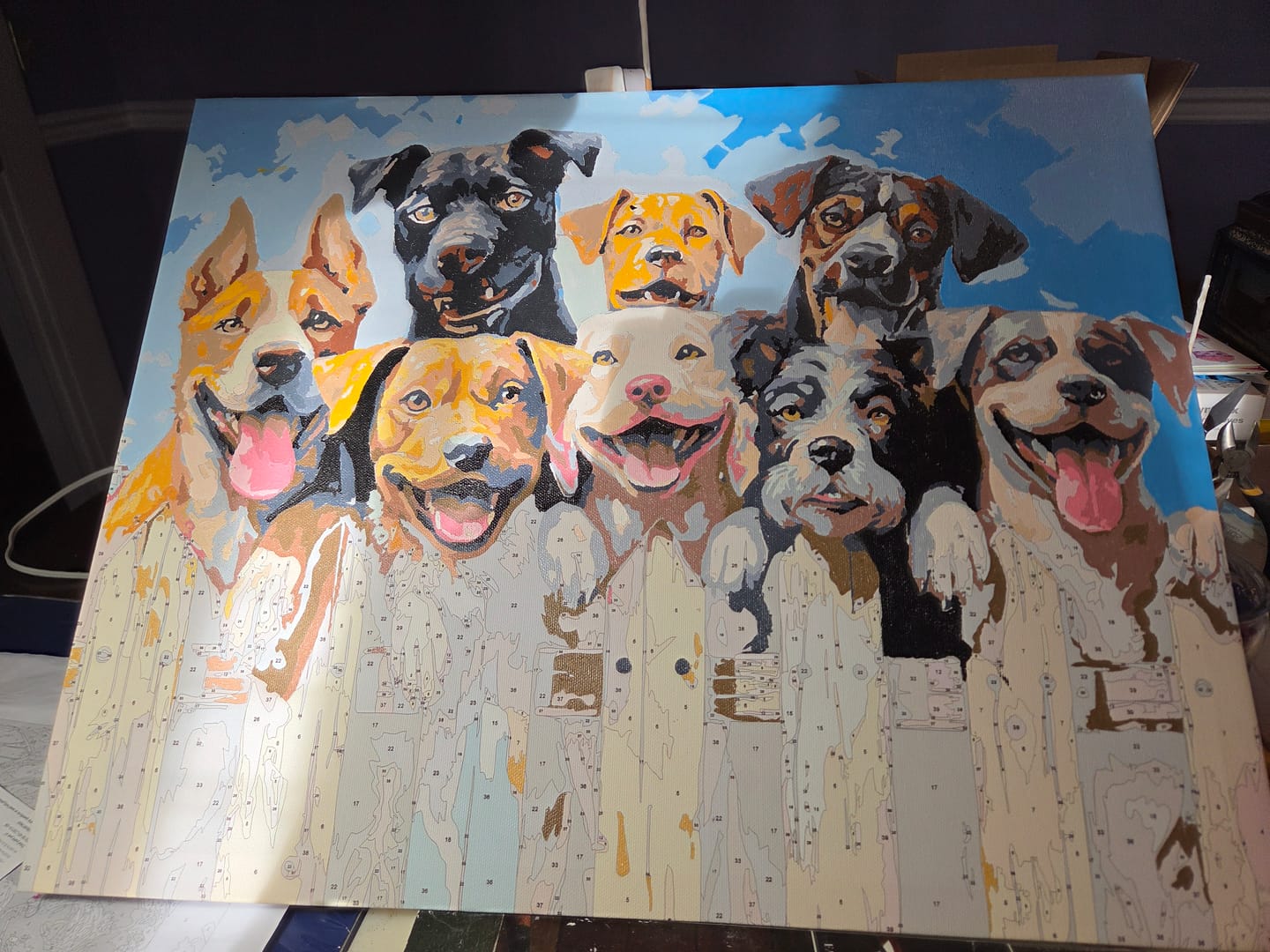 Customer photo review of Dog Days of Summer
