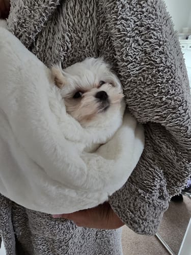 Customer photo review of The Plush Sling