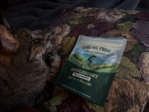 Customer's Huckleberry Gummies package resting on a pillow next to their tabby cat.