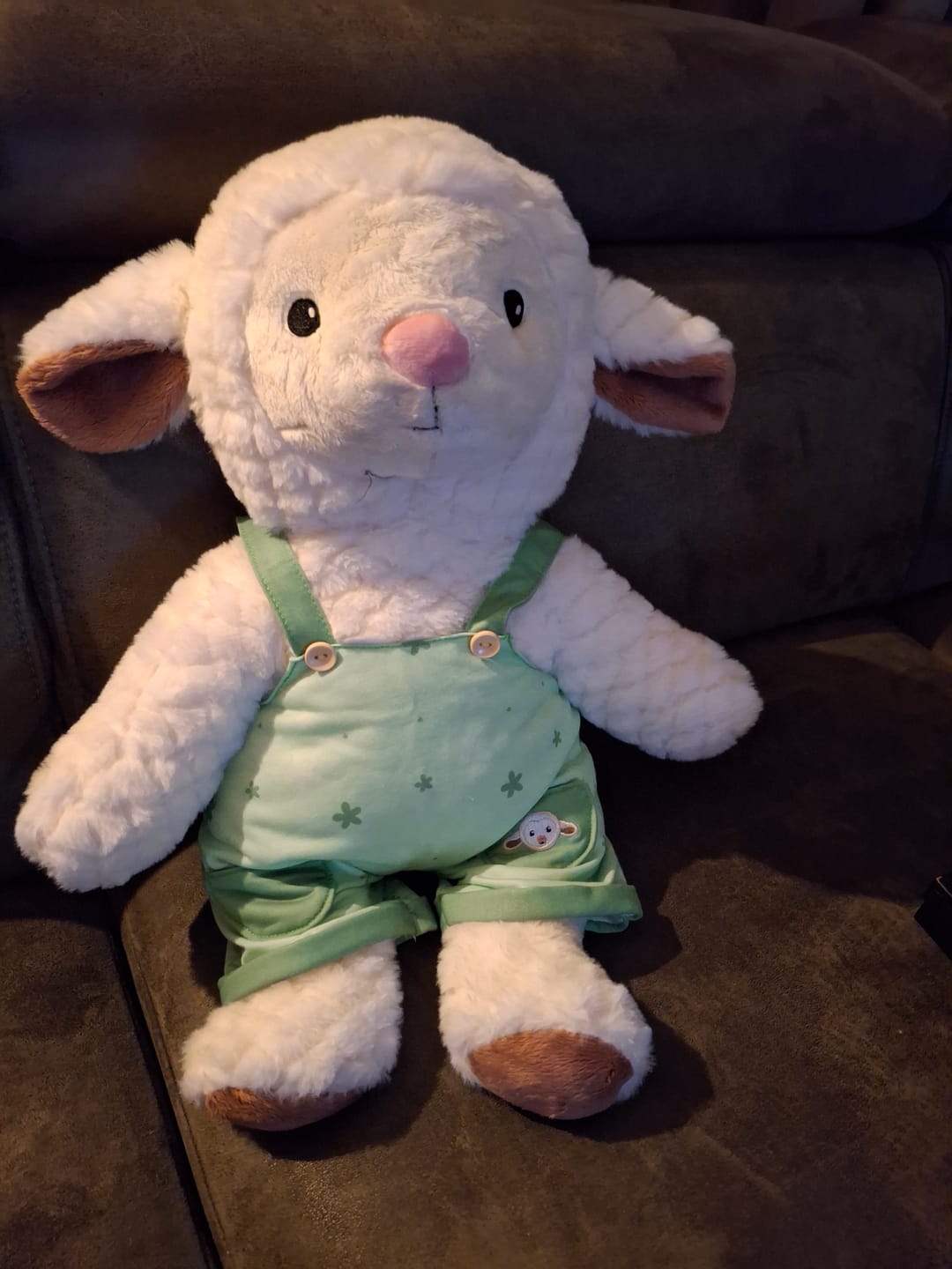 Customer photo review of Schaap Kleding Lente Lotgenootje