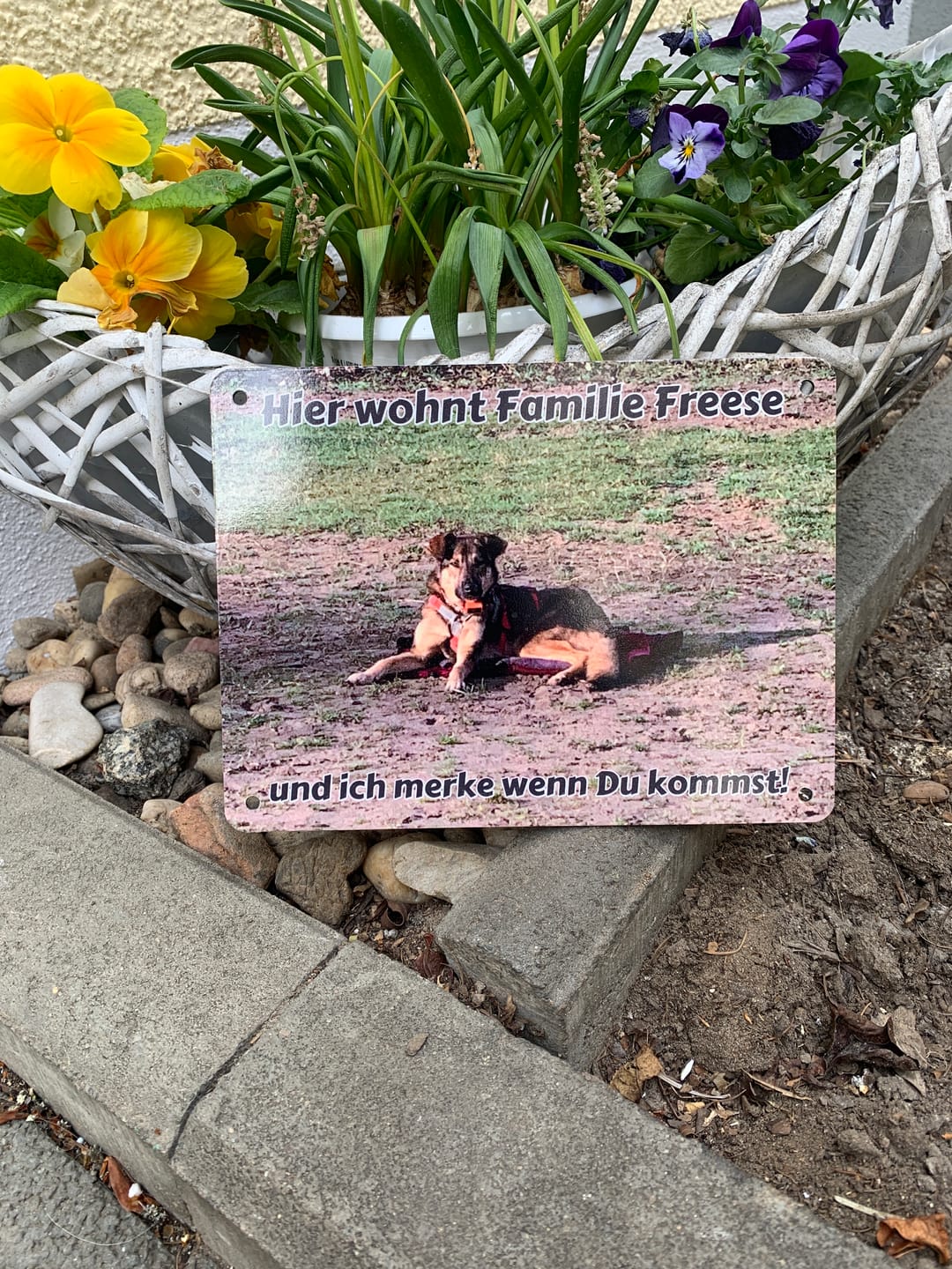 Customer photo review of Hunde-Türschild mit Foto & Wunschtext (UV- UND WETTERFEST) - Angebot beim Kauf eines 2. Schildes