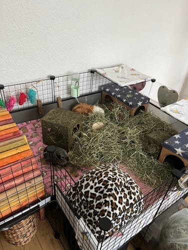 Customer photo review of Orchard Hay Box