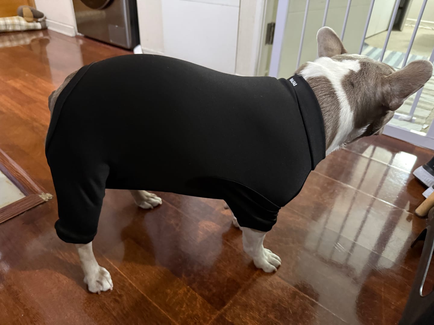 Customer photo review of Primera Capa Térmica Power Stretch™