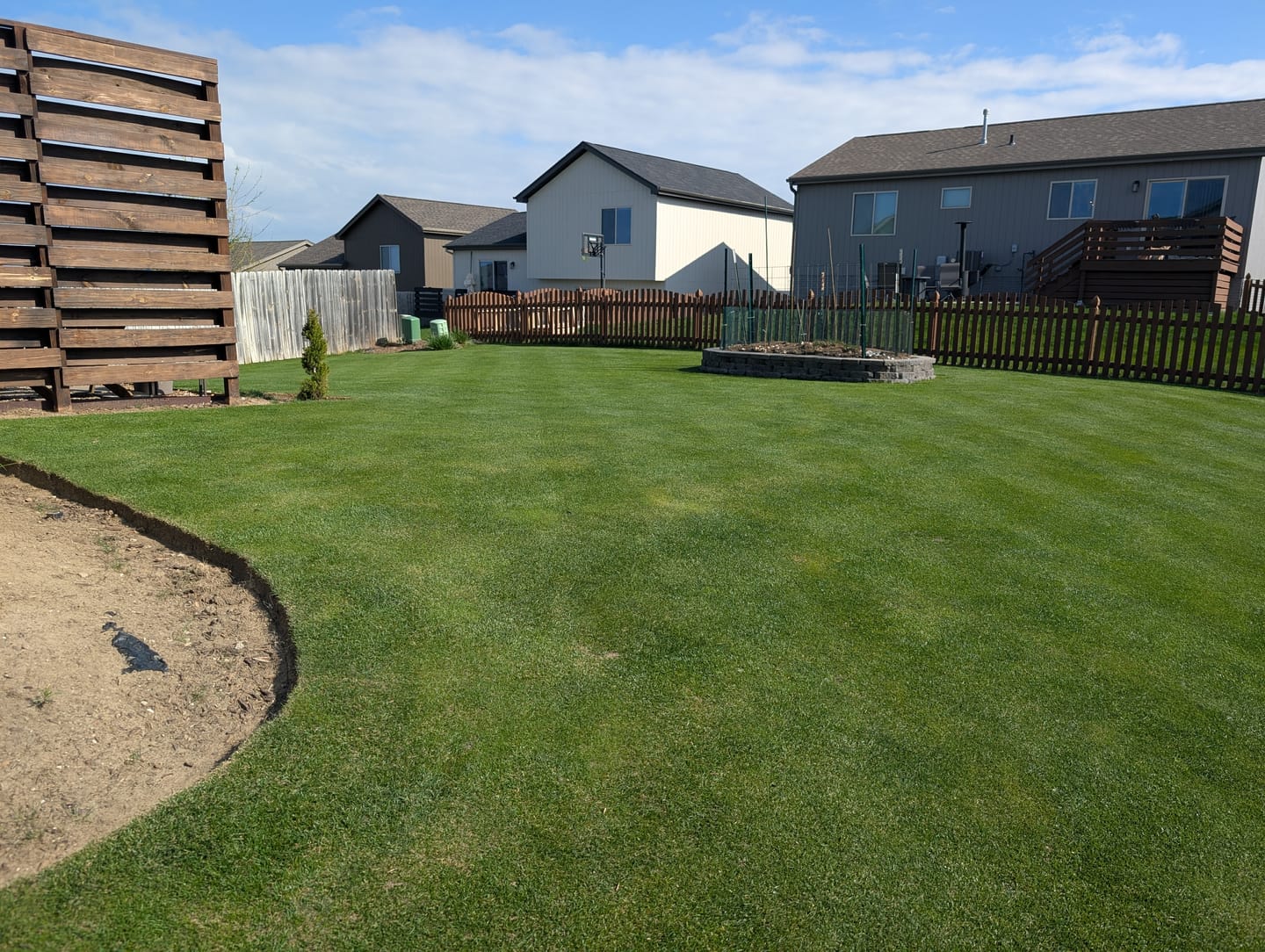 Customer photo review of 4-4-4 Organic Granular Fertilizer with Biology