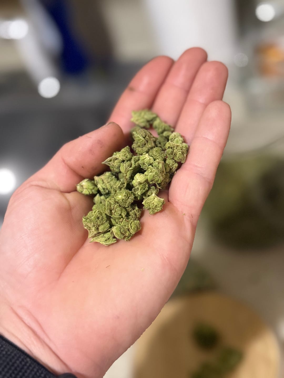 Customer photo review of Gorilla Glue - Minis - 14 Grams - Hybrid