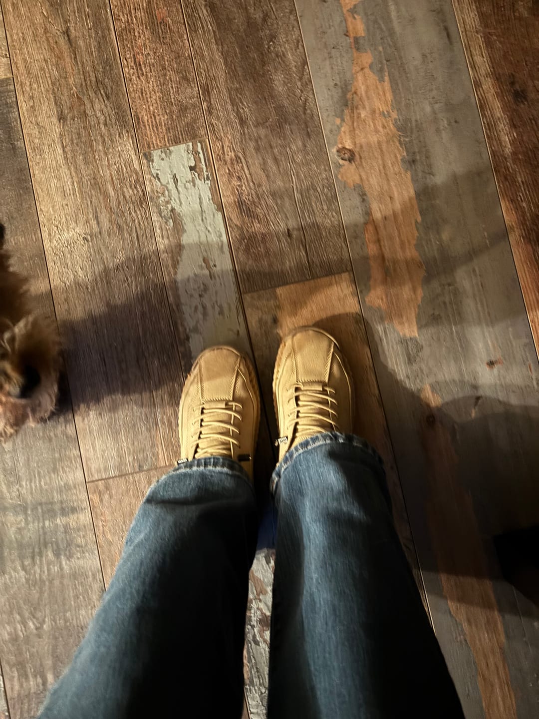 Customer photo review of Barevita Mia | Step In. Walk Free.
