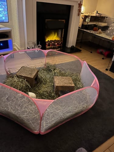 Customer photo review of Orchard Hay Box