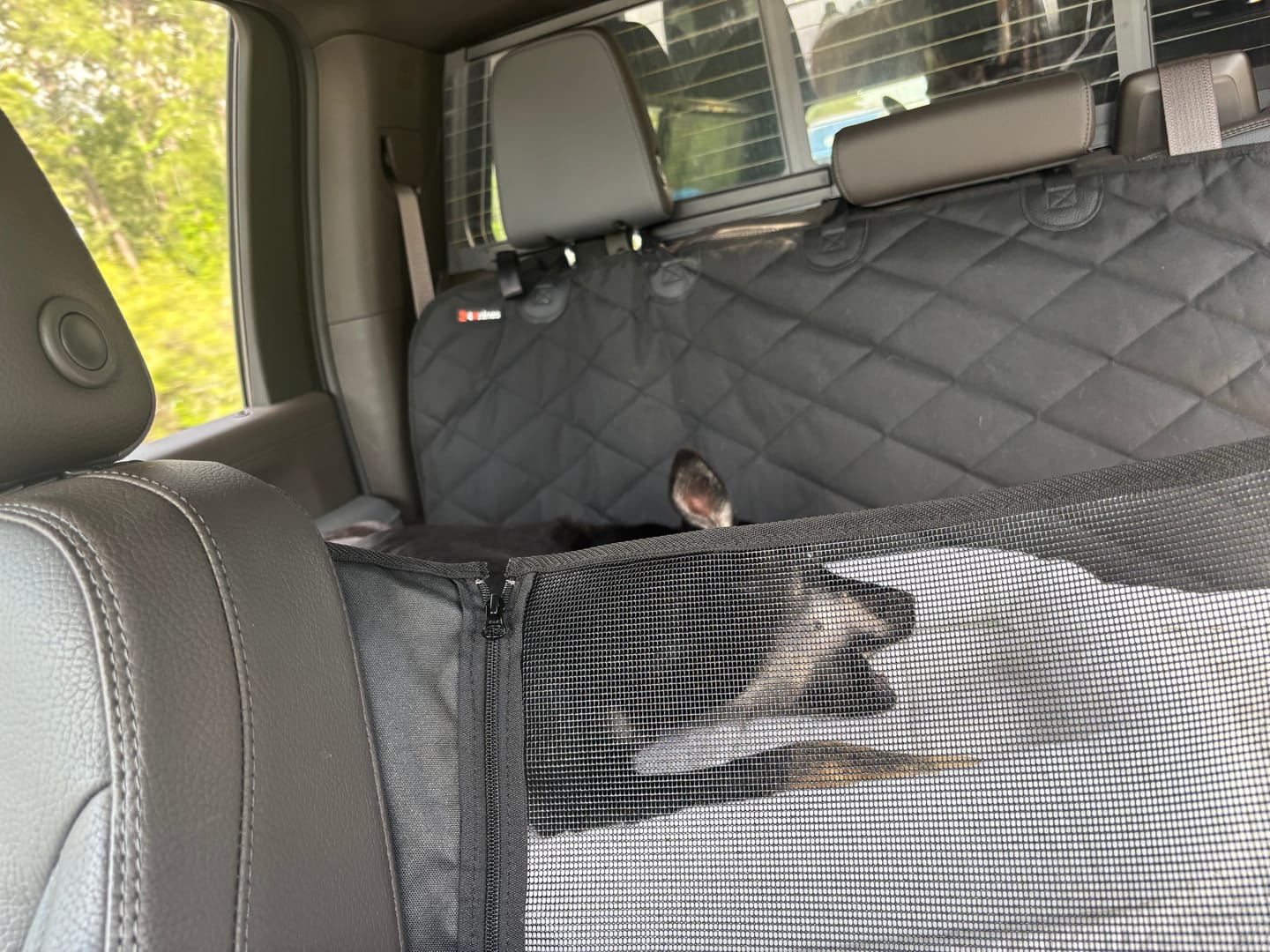 Customer photo review of 4Knines Hard Bottom Extender Car Seat Cover for Dogs - XL