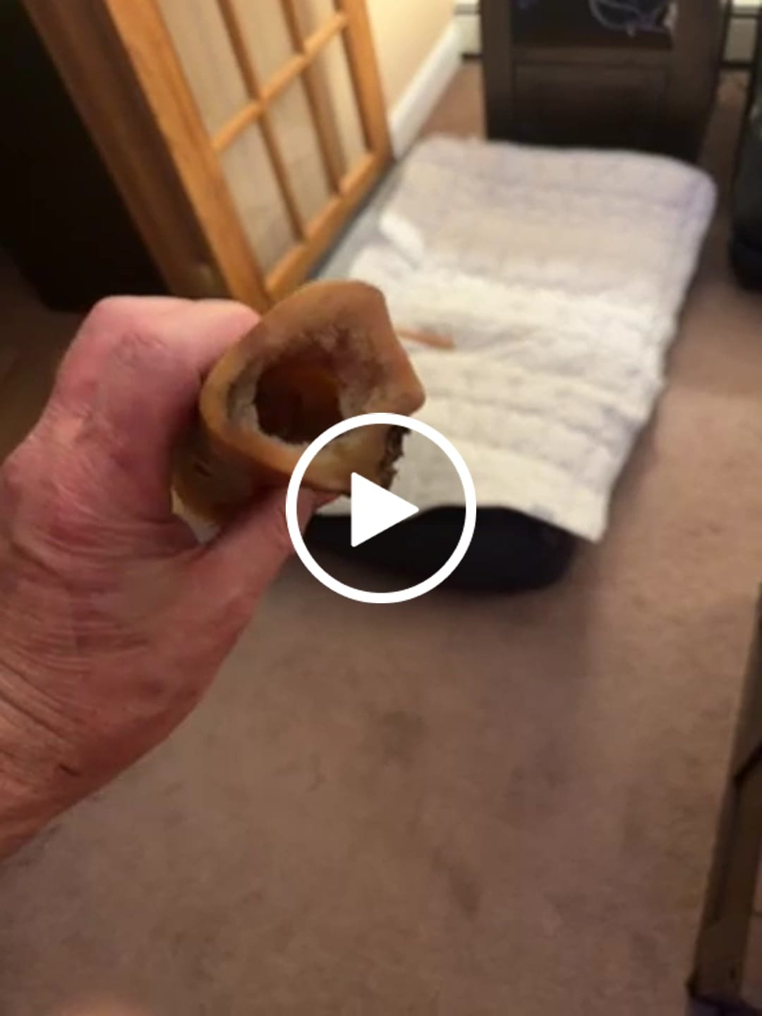 Customer video review of Large Dog Spring Treat Bundle (41+ lbs)
