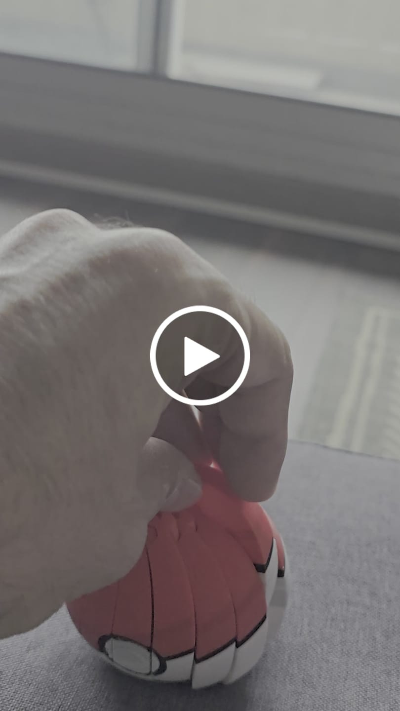 Customer video review of Anycubic ACE 2 Pro