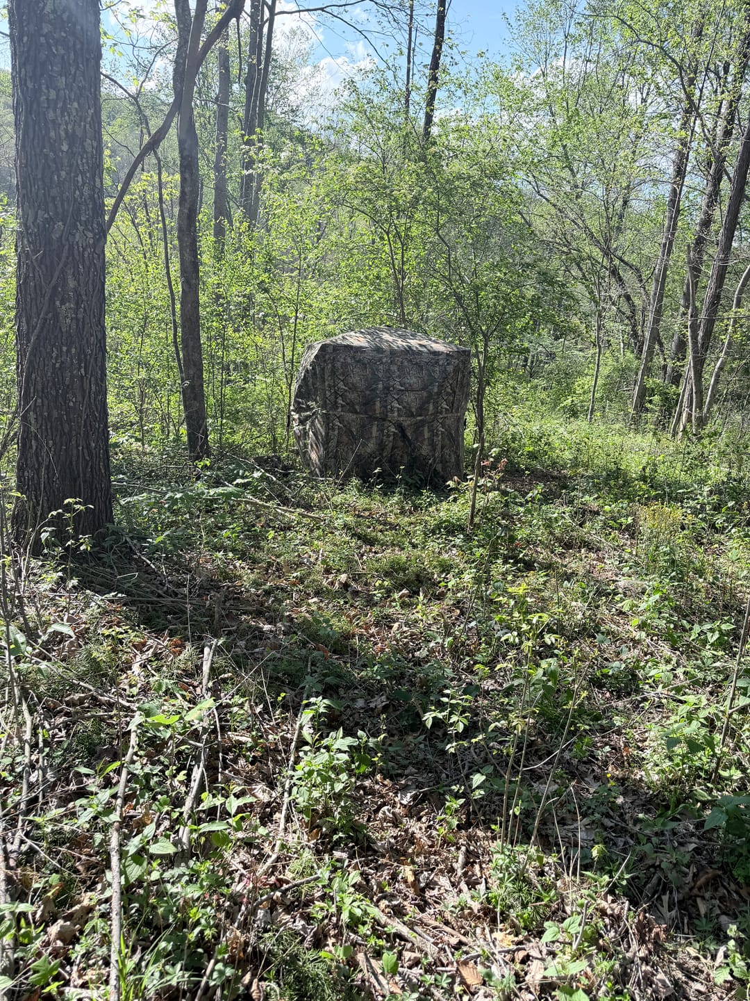 Customer photo review of VisX/VisMax 270 Degree See Through Pop Up Hunting Blind