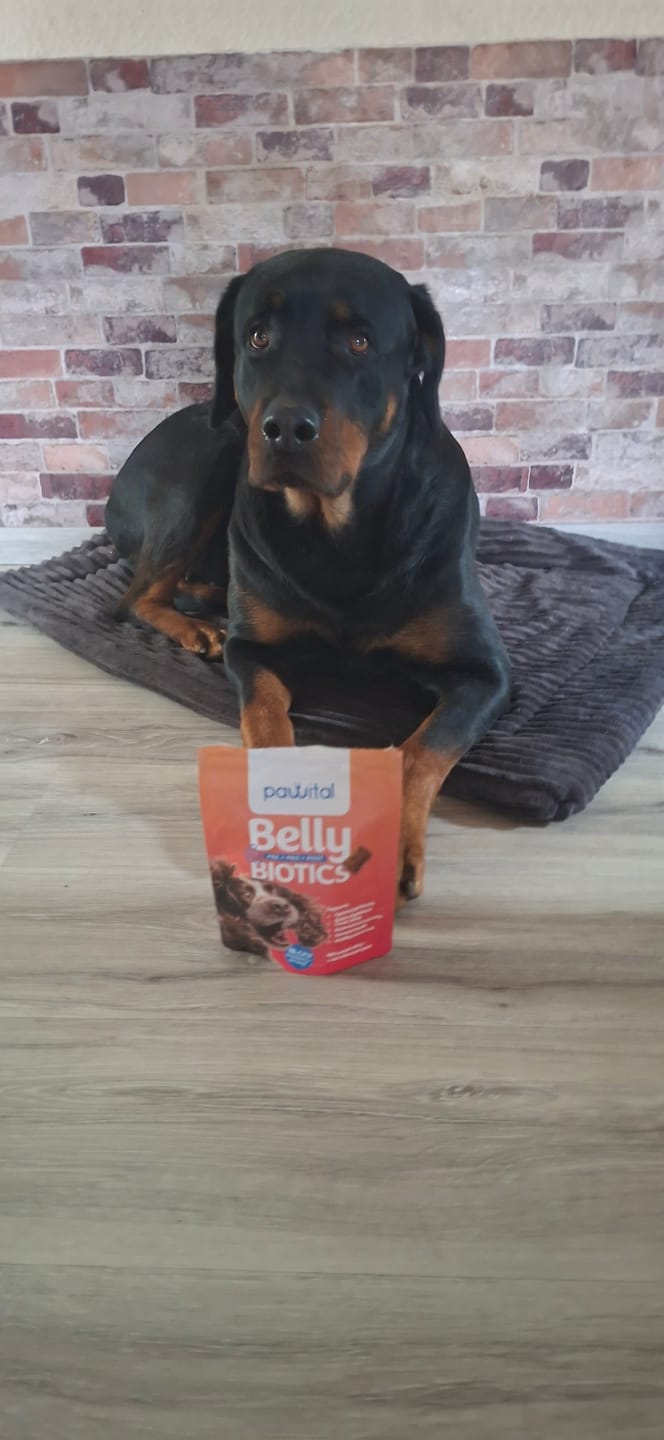 Customer photo review of Belly Biotics (360 treats)